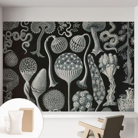 Papier peint intissé pour salon chambre à coucher peint imprimé Installation facile - Colle incluse gratuite Plantes magiques 152x104 cm (1/5)