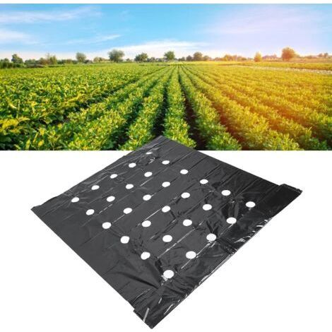 Paillis perforé, Plantes Noires Film PE perforé pour Jardin Film de Paillage Noir Pare-Vapeur Bâche en Plastique Film de Paillage Agricole Film perforé Agricole Noir (1/5)
