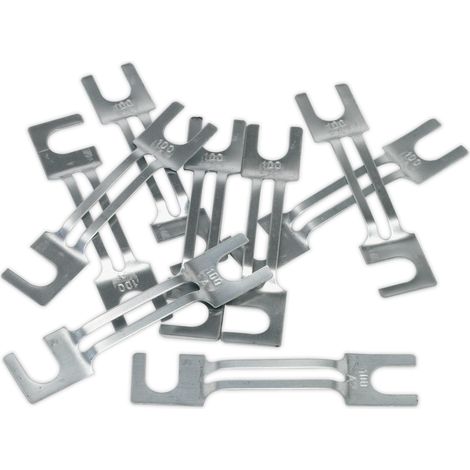 Sealey Fuse 100A 99 x 20mm Large Pack of 10 120/802131 (1/2)