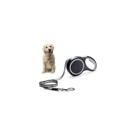 Laisse extensible chien - Laisse rétractable automatique 5 m - 50 kg max - Solide pour extérieur - Chiot et gros chien (1/5)