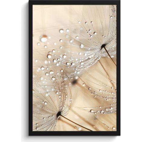 AFFICHE ENCADRÉE Pissenlit - Abstrait - Nature - Beige Cadre Décoration Murale 40x60 (1/5)