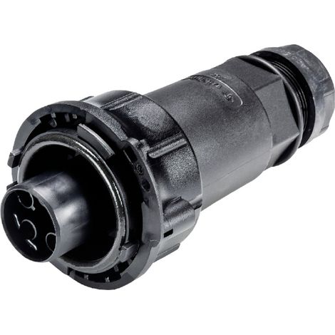 Wieland Electric 97.041.4053.1 Steckverbinder