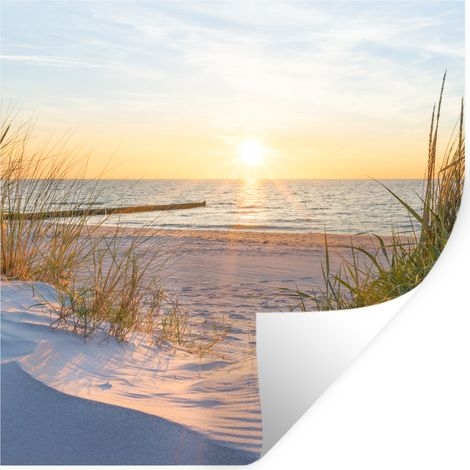 STICKER MURAL Plage - Soleil - Dune - Herbe - Sable - Horizon 50x50 cm