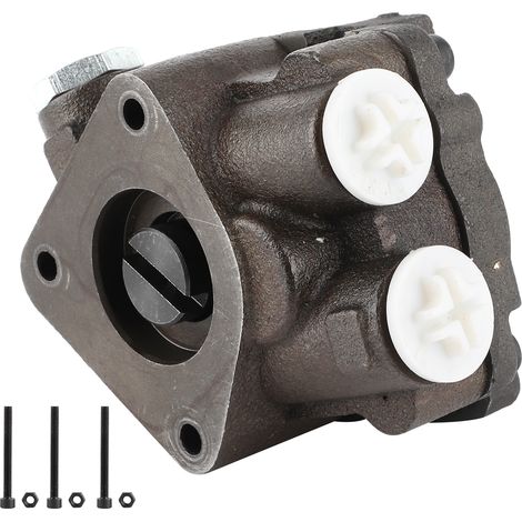 Pompa a ingranaggi robusta e affidabile. Pompa del carburante per camion sicura e stabile. Fabbrica anticorrosione ad alta efficienza per il bagagliaio. (1/5)