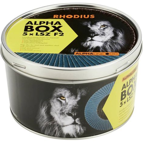 Rhodius 209317 LSZ F2 BOX Disco con falde Diametro 125 mm Ø foro 22.23 mm Dimensione dei grani 80 5 pz.