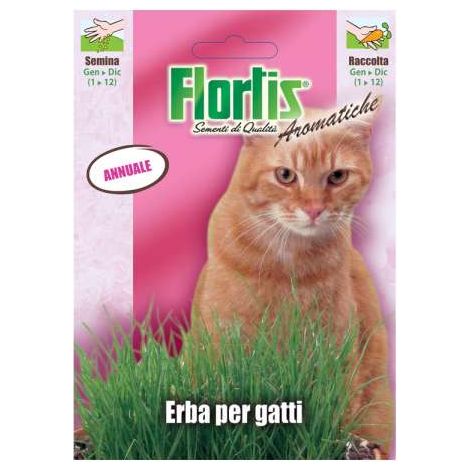 Semi di Erba Gatto in busta