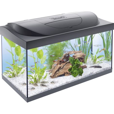 Tetra Starter Line Aquarium Set mit LED 60x30x30cm 54L Komplett Set inkl Filter