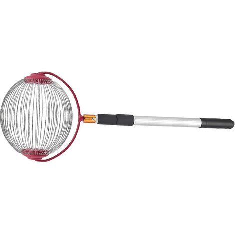 Ramasse-noix à rouleaux en acier inoxydable, réglable, pour noix, pommes sauvages, etc. (1/5)