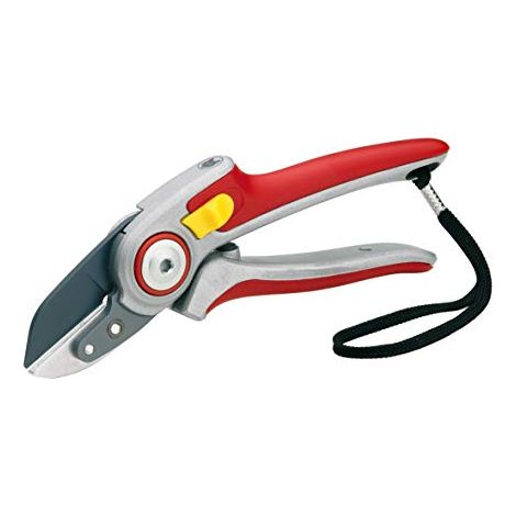 Cesoie Rs 5000 Professional (A 5) (1/4)