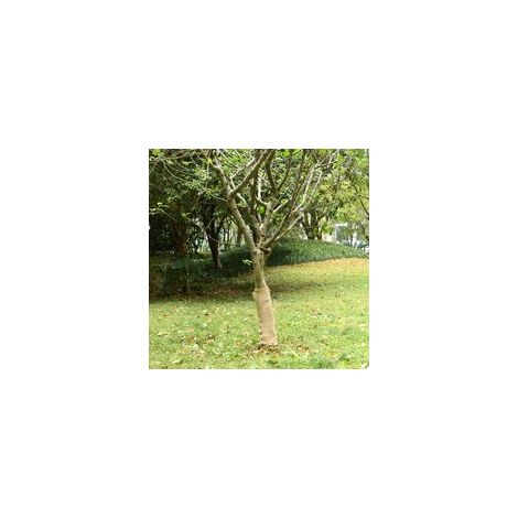 Tessuto di juta 0,5 x 10 m 100% juta 200 g/m²-Crezuo
