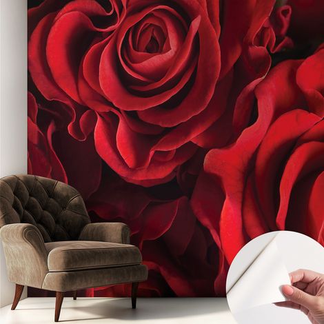 Carta da parati autoadesiva - fotomurale - decorazione parete - murale - adesivo da muro - Rose rosse 250x250 cm (1/5)