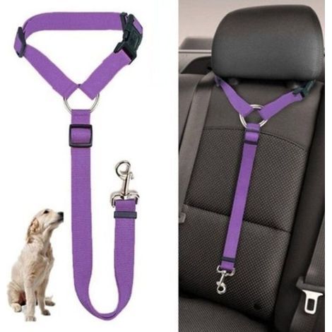 Ceinture de sécurité pour chien Violette - Réglable - Nylon - 2 en 1 (1/4)