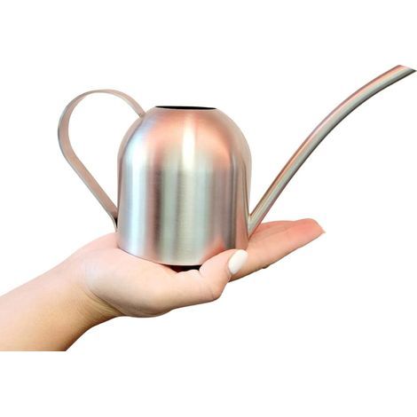 Annaffiatoio Itza in acciaio inox di piccole dimensioni (440 ml) per piante da interno e da giardino, mini annaffiatoio per i tuoi bonsai. (1/5)