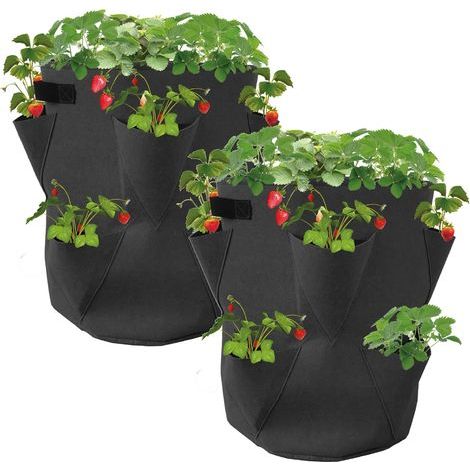 Lot de 2 sacs de plantation en feutre pour fraisiers - 30 x 35 cm - Planti (1/5)