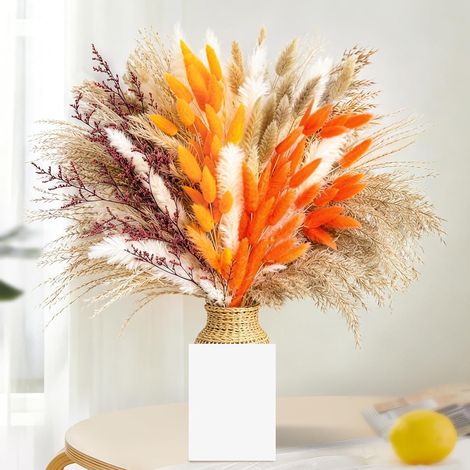 100 Pièces Pampa Séchées Naturelles Décoration, Bouquet Fleurs Séchées Duveteuses Plante pour Rustique Boho Table Maison Salon Mariage Décor d'automne (1/5)