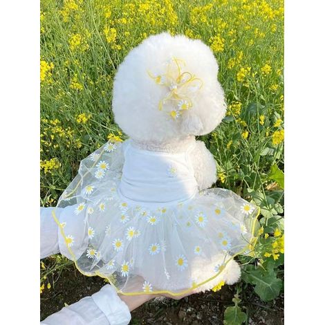 1 robe pour animal de compagnie, robe en tulle légère d'été, pour chiens caniches, bichon frisé, teddys, yorkshire terriers, schnauzers, races petites taille M (1/5)