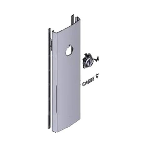 Porte Armoire Barrière GPX40 CAME 88003-0046 (1/3)
