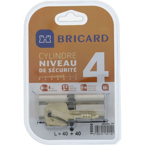 Bricard 18004 Cilindro di serratura doppio ingresso Serial XP 40 + 40 nichelato (1/4)
