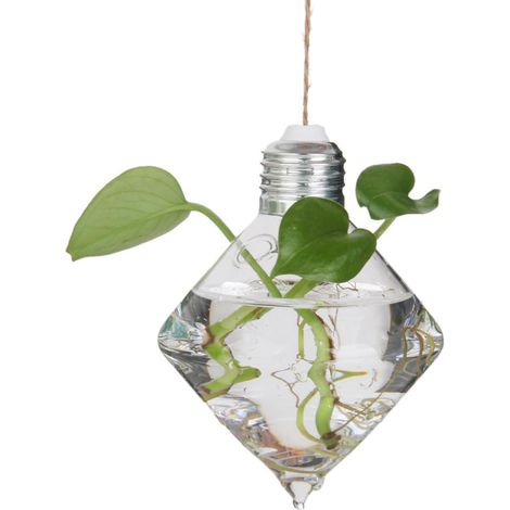Vase Mural En Verre Suspendu, Bouteille, Ampoule En Losange Pour Décorations De Plantes Et De Fleurs (1/5)
