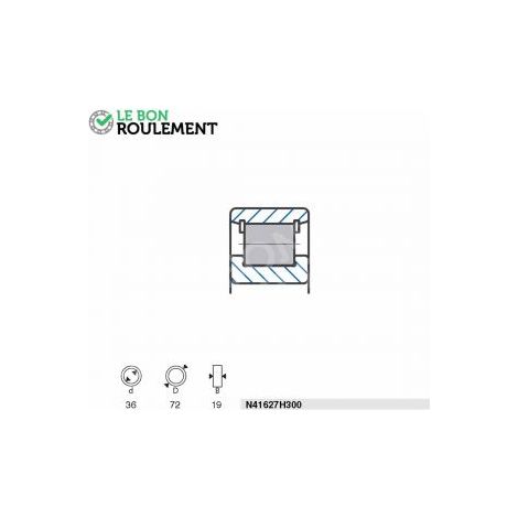 Roulement à rouleaux N41627H300-SNR