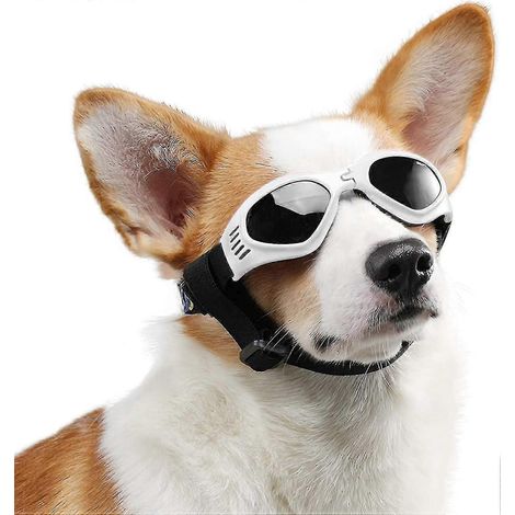 Lunettes de soleil pour chien, sangle ajustable pour lunettes de soleil UV, protection imperméable-White