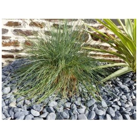 Galet Noir Mat 12-24 Pack de 25 M² - 50 sacs - 1000 kg