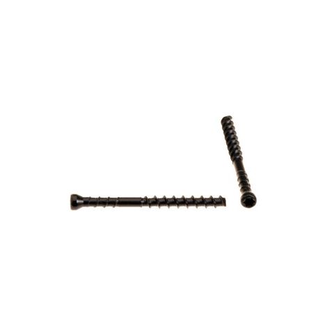 Confezione da 50 viti per legno ACTON Testa esagonale - Acciaio inox A2 - DIN 57 - Ø8 x 120 mm - 623048X120