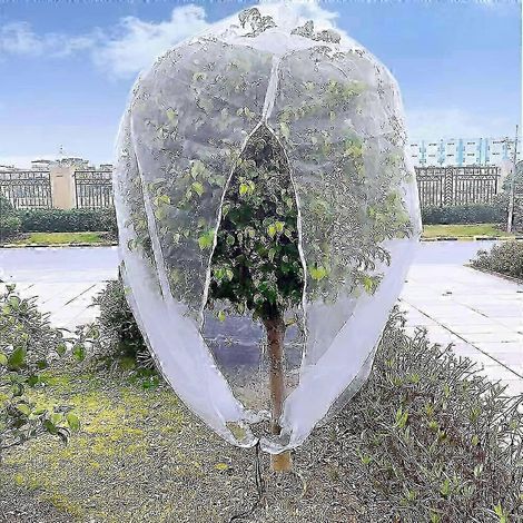 Sacs filets de protection pour arbres fruitiers (3 x 3 m), filet anti-oiseaux pour myrtilliers, nouveauté 2026 (1/4)