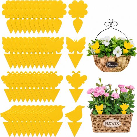 Pack de 48 attrape-mouches – Piège à mouches (1/5)