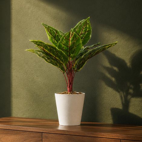 38cm Potted Artificial Calathea Veitchiane Premium (1/5)