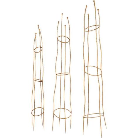 Ensemble 3 supports plantes grimpantes 30x30x171cm