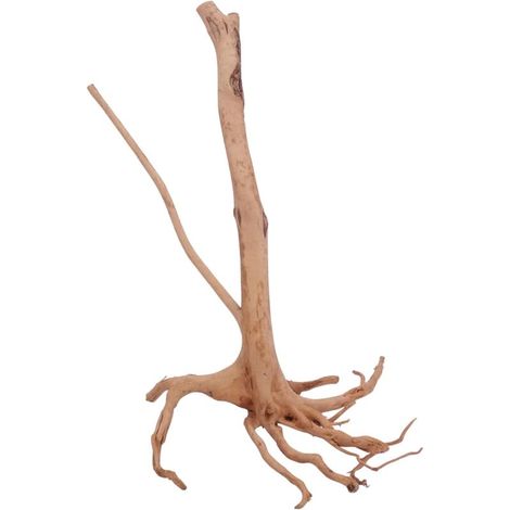 M Stump Wurzel Nr.3524 Holz Deko Aquascaping