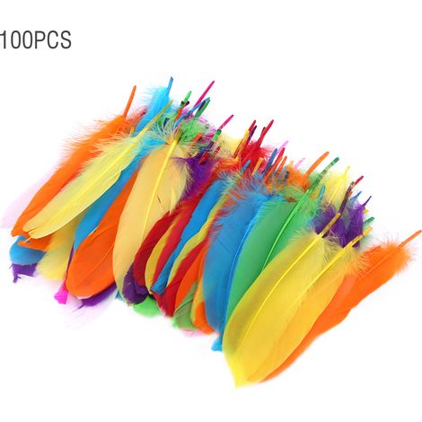 100 plumes colorées pour bricolage DIY, matériel de collage décoratif, fournitures artistiques artisanales pour enfants, maternelle, 100 pièces. (1/5)