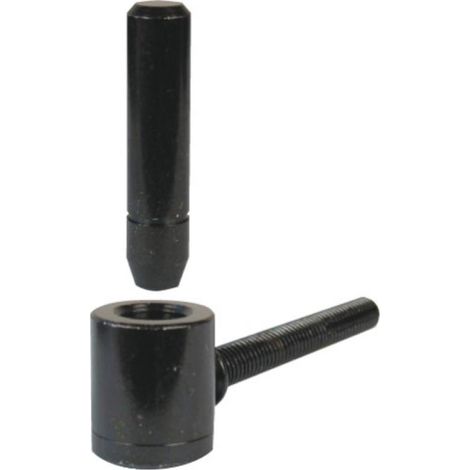 Polygond pour scellement chimique acier finition polyester noir axe Ø 14 mm tige 70 mm lot de 4 - TORBEL INDUSTRIE (1/3)