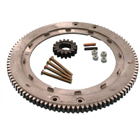 Kit corona dentata volano motore trattorino rasaerba BRIGGS & STRATTON 696537