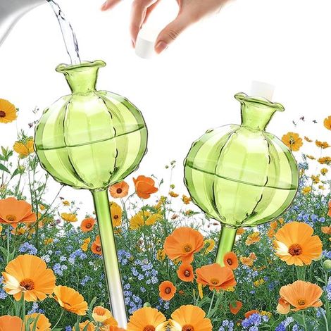 2er-Set automatische Bewässerungskugeln aus Glas mit grünem Kaktusmotiv (1/5)