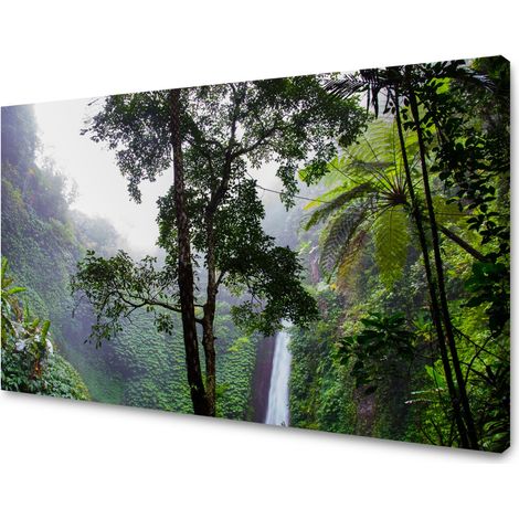 Leinwanddruck Natur Tropischer Wald 120x80 cm