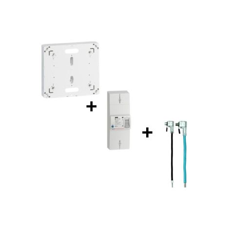 Legrand - Disjoncteur EDF 60A Instantanu00e9 + Platine + Embouts Ph+N 60A - Ru00e9f. :401051+401191+EBCPAU35M16N-B (1/5)