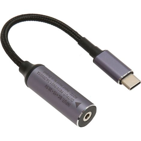 Câble de charge PD 100W avec connecteur femelle DC 3.0mm vers mâle Type-C pour charge rapide (1/5)