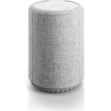 Enceinte Sans Fil - AUDIO PRO A10 - Gris Clair - Avec Bluetooth, Wi-Fi - Multiroom (1/4)