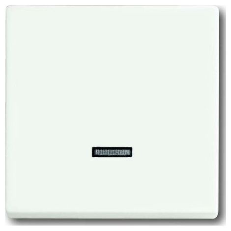 BUSCH-JAEGER 6543-884-101ELMENT DE COMMANDE, APPAREIL DE COMMANDE  TOUCHE  MMOIRE BUSCH, BLANC STUDIO MAT, FUTURE