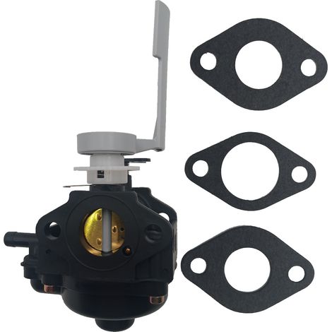 Carburateur pour tondeuse Lawn-Boy DURAFORCE 2 temps 107-4607 (assemblé) (1/4)