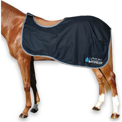 155 cm, Bleu: Housse de protection pour chevaux nylon 600 deniers imperméable à l'eau (1/2)