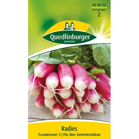 Quedlinburger Saatgut – Radis Flamboyant 2 – Graines de légumes, radis long rouge à pointe blanche, pour env. 5 mètres linéaires (1/2)