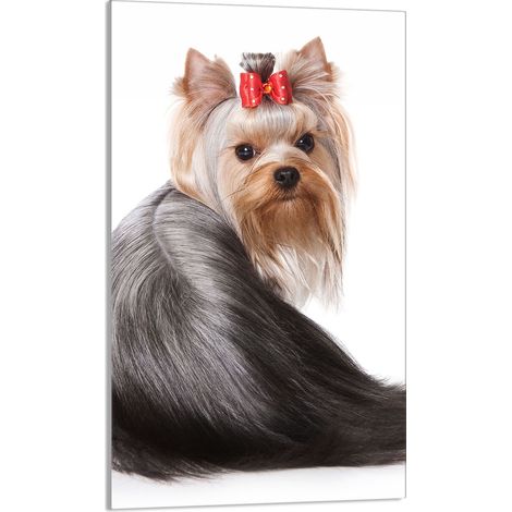 Tabla de cortar de vidrio 30x52 Perro (1/5)