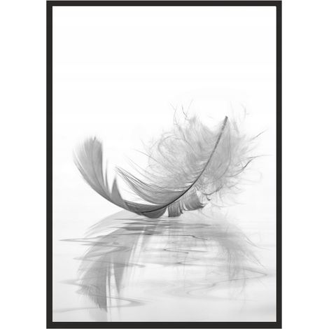CUADRO, PÓSTER ENMARCADO 33x43 cm Pluma P520 (1/4)