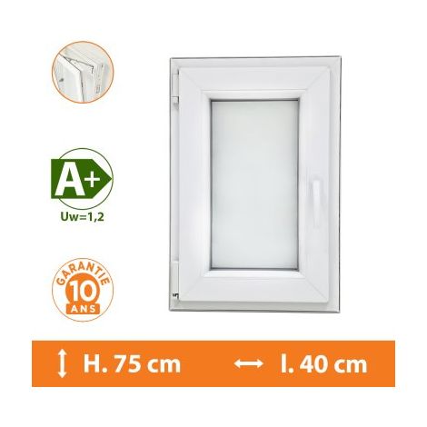 Fenêtre 1 Vantail Blanc - Tirant Gauche - H.75 x l.40 cm (1/5)