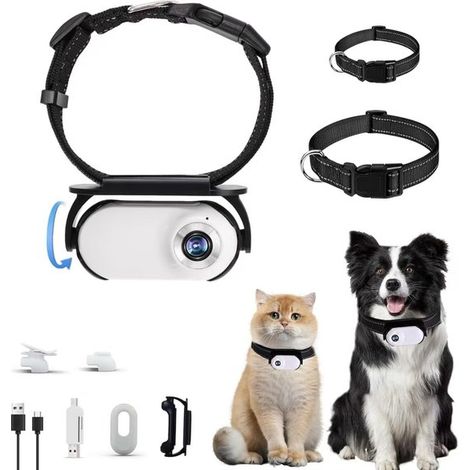 Caméra collier pour chat OLOEY - Caméra HD 1080p pour animaux de compagnie - Caméra collier avec grand angle de 120° - Mini caméra sport - Caméra portable pour chats et chiens - Intérieur et extérieur (1/5)