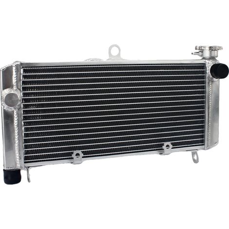 Radiador de refrigeración del motor de aluminio de alto rendimiento y durabilidad para CBF600S o ABS 04-07. (1/2)