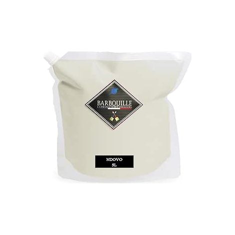 Laque satin bois, murs et plafonds 5L Blanc Ivoire Ndovo (1/5)